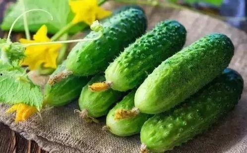 吃瓜能增加什么内容,解锁生活新乐趣与社交新境界