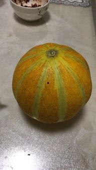 瓜焦孕妇可以吃吗,安全与营养两不误