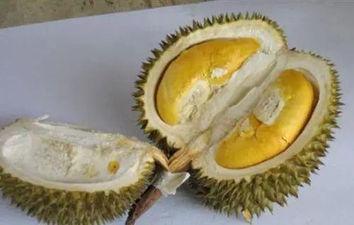 吃榴莲可以吃蜜瓜吗,美味搭配的甜蜜探索