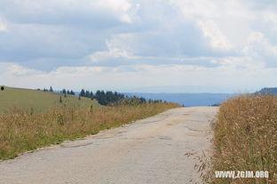 做梦地里摘瓜吃,地里摘瓜的奇幻之旅