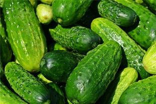 梦到自己吃黄瓜籽瓜,黄瓜籽瓜的奇幻之旅