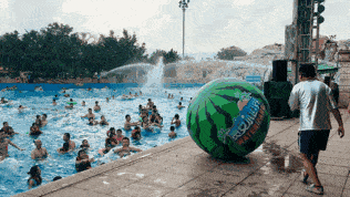 冲浪了吃瓜,揭秘网络时代的娱乐盛宴