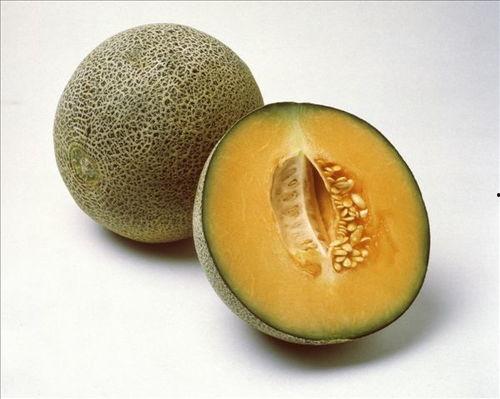 吃瓜群众甜蜜指南小说,揭秘吃瓜群众的小说世界